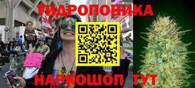 Альфа ПВП Азнакаево