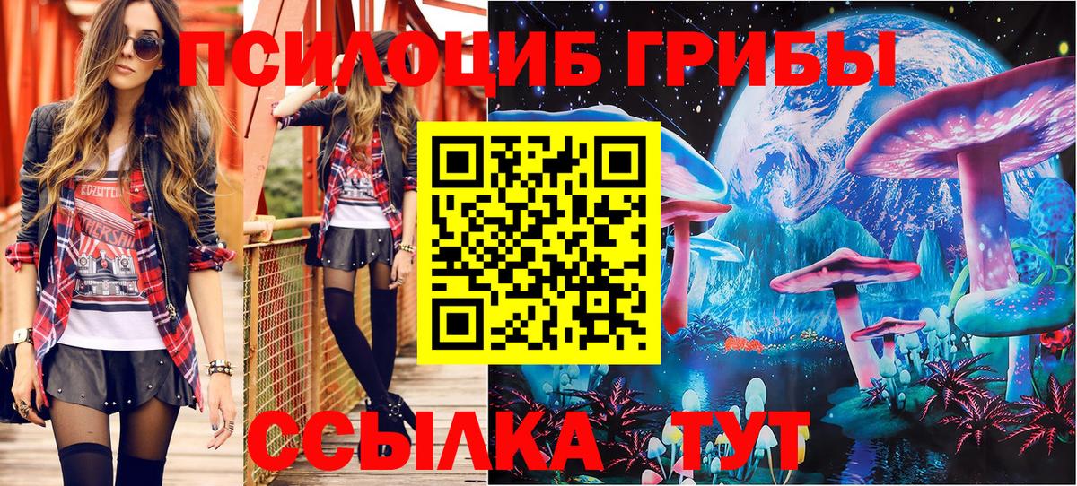 Псилоцибиновые грибы GOLDEN TEACHER  Вход с VPN  Россошь 