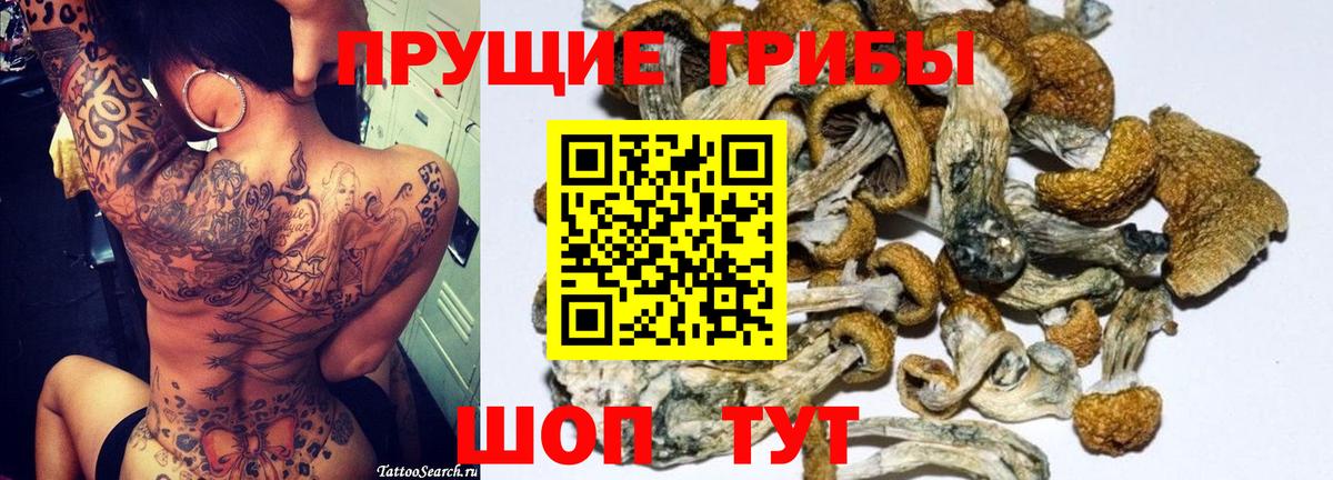 Галлюциногенные грибы GOLDEN TEACHER  Россошь  Галлюциногенные грибы Magic Shrooms 