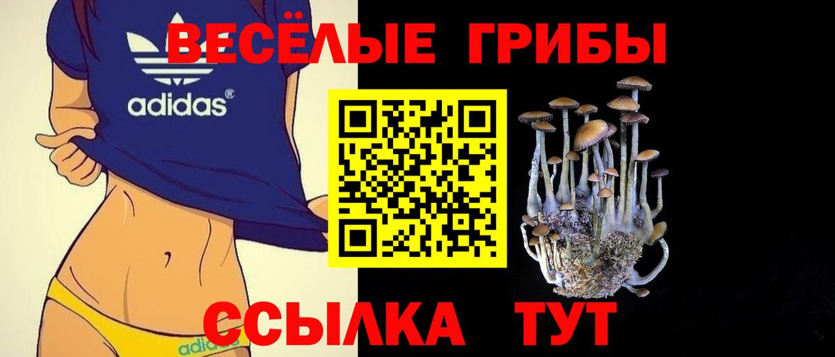 Псилоцибиновые грибы Cubensis Россошь